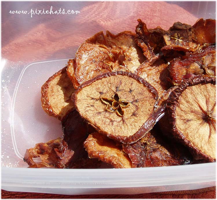 Burnt apple slices - not dried before putting in the oven