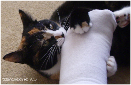 Where behaviour issues aren't involved a 'gentle' game of foot attack is fun?