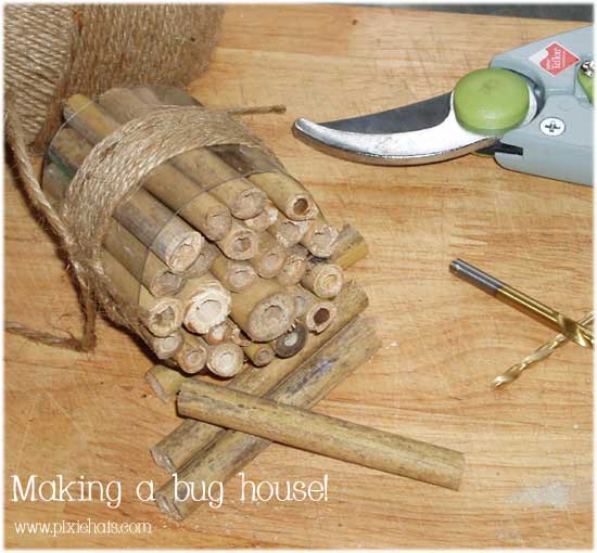Make a bug house for your garden insects to overwinter in