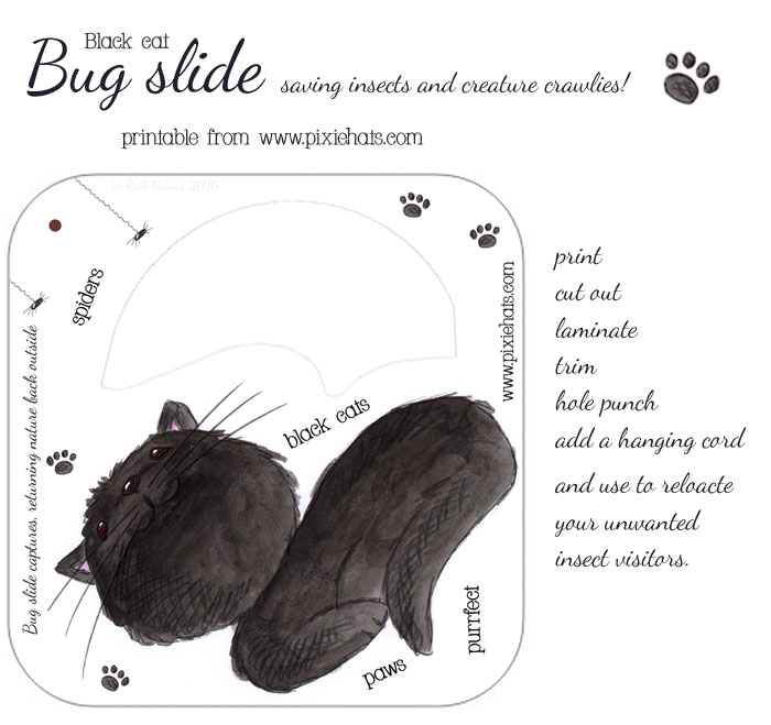 Black cat and spider bug slide design - catch and release your creature crawlies ..