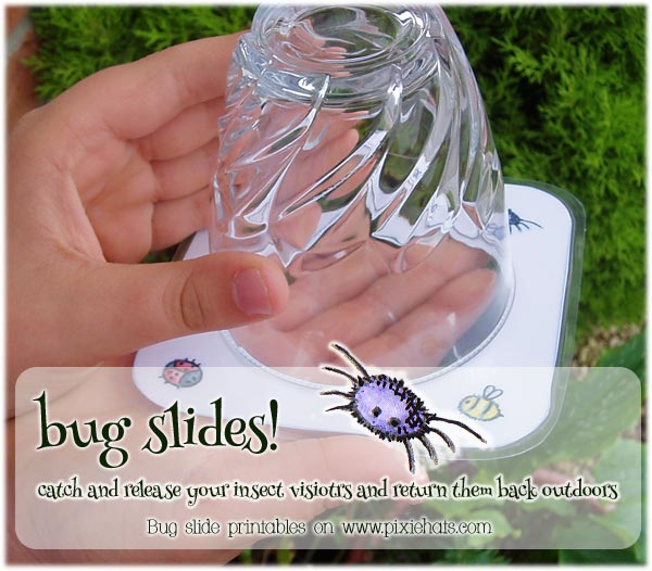 Capture insects safely with a pot and slide .