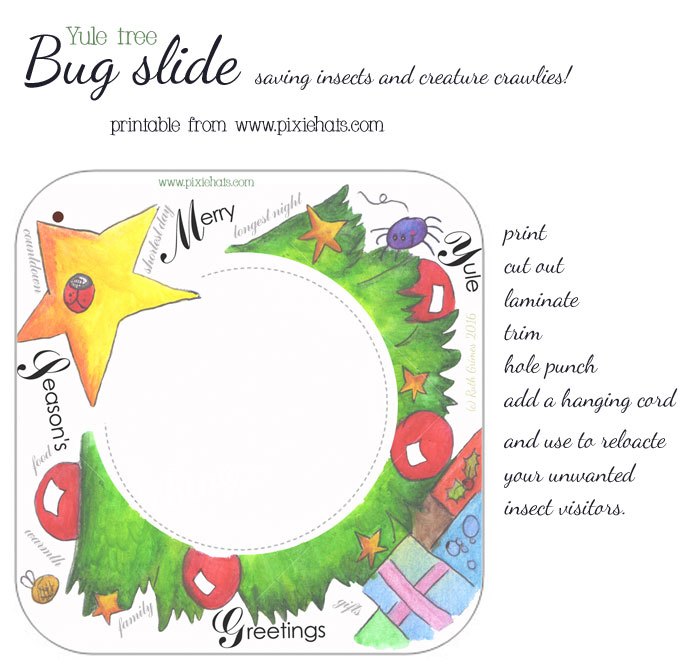 Yule tree bug slide printable - catching and releasing insects safely