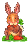 Rabbit and carrot