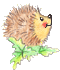 Illustrated hedgehog