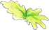 green leaves