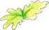 green leaves