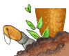 Peat free paper friendly seed pots