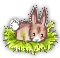 Rabbit small