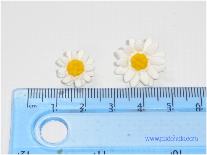Daisy beach size