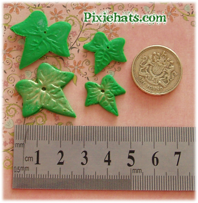 Ivy leaf sizes