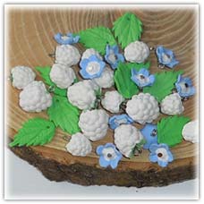 Winter white berries